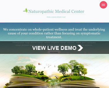 SEO Friendly Responsive Website Template 0004