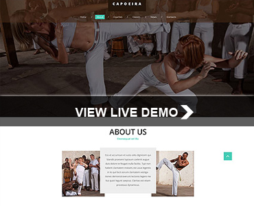 SEO Friendly Responsive Website Template 0007